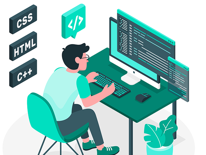 Web Development